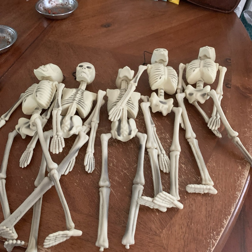 Set of Skeleton Decorations